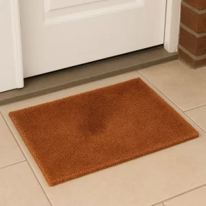 Wonderworks Doormat | Cotton Blend Solid Colour Rectangle Anti-Skid BathMats |Soft & Super Absorbent Mats for Shower |Washable & Quick-Drying Mats |Pack of 1 ( Rust, 80 cm x 50 cm)